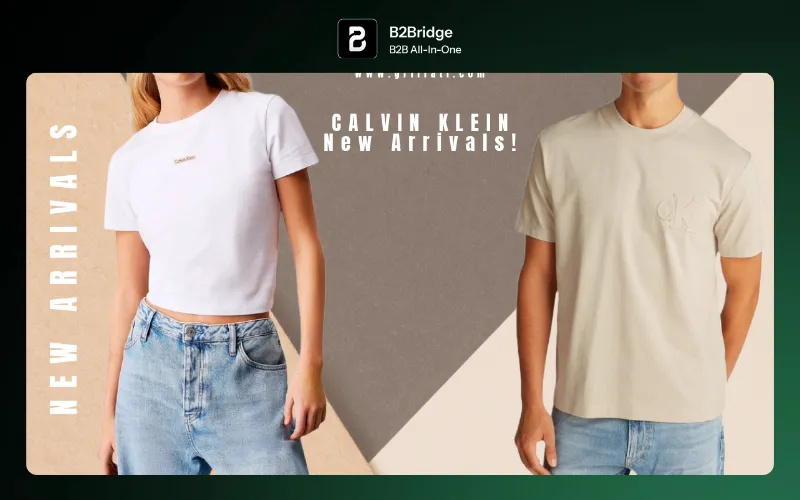 wholesale clothing europe reviewed by b2bridge.io