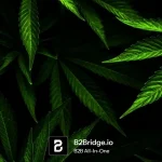 CBD Wholesale Europe: Top 7 Suppliers & Distributors