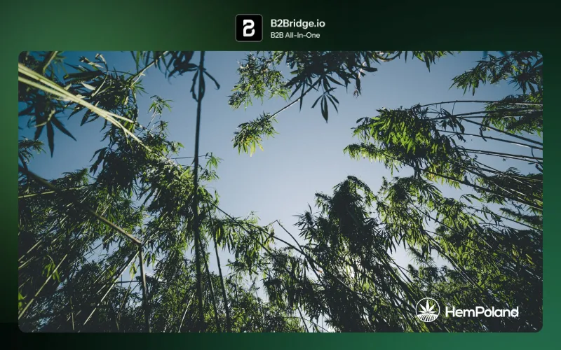 cbd wholesale europe b2bridge.io