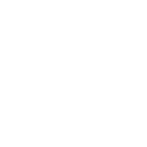 logo-trailer-valet-white