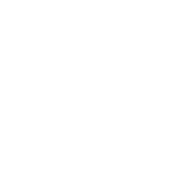 logo-vanroli-white-transparent-bg