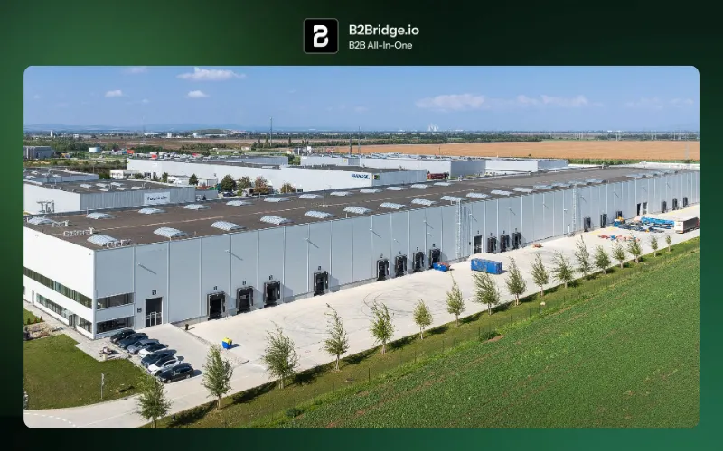matcha wholesale europe by b2bridge.io