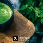 Matcha Wholesale Europe: Top 5 Suppliers & Distributors