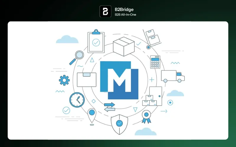 wholesale suppliers europe b2bridge.io