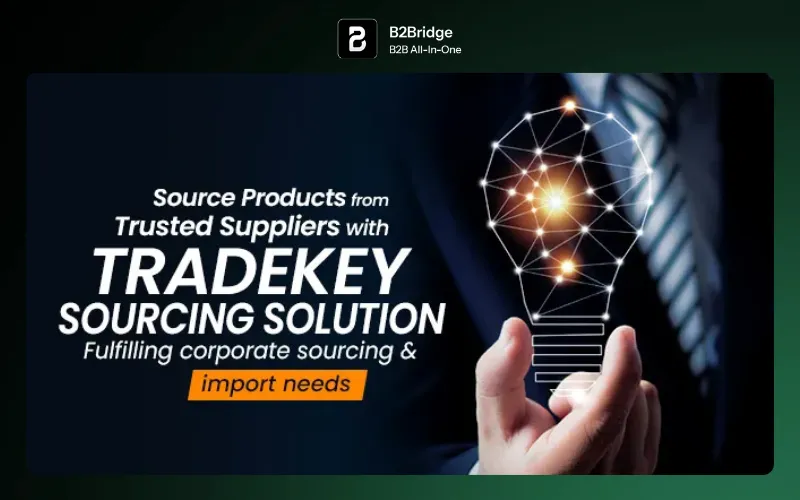 wholesale suppliers europe b2bridge.io