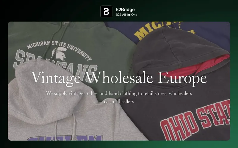 vintage wholesale europe review by b2bridge.io