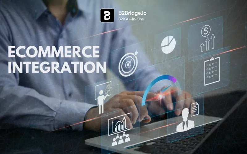 b2b ecommerce integration by b2bridge.io