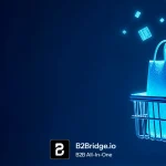 8 Critical Considerations When Planning A B2B Ecommerce Integration On Shopify