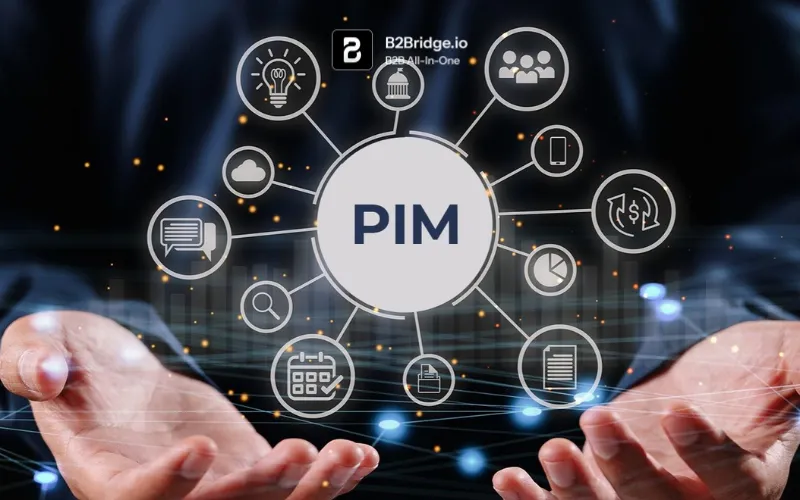 product information management pim by b2bridge.io