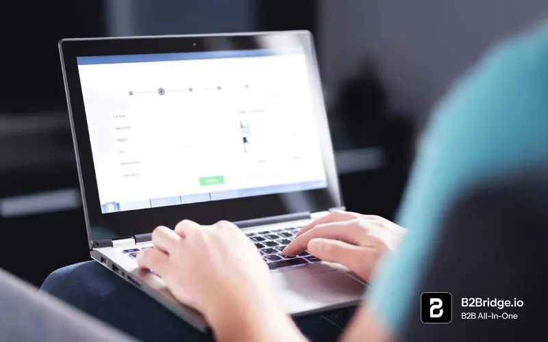 b2b self service portal by b2bridge.io