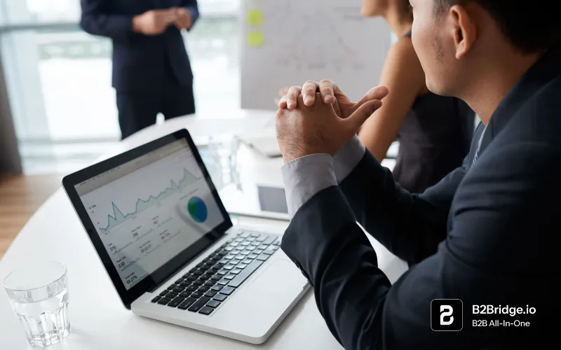 b2b self service portal by b2bridge.io