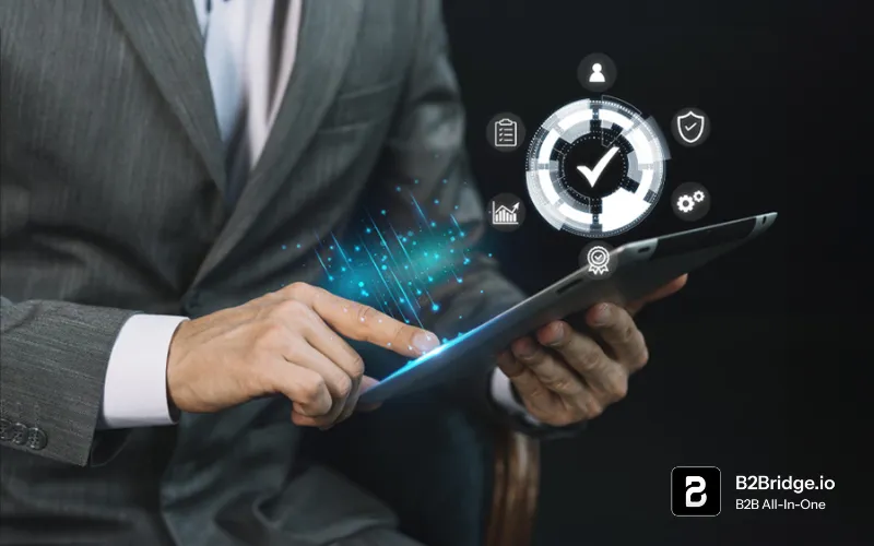 b2b self service portal by b2bridge.io