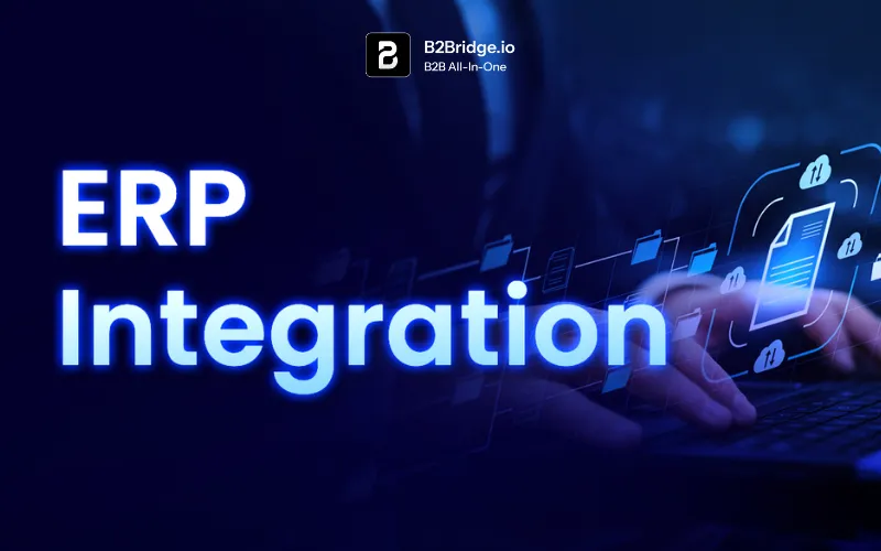 erp integration by b2bridge.io