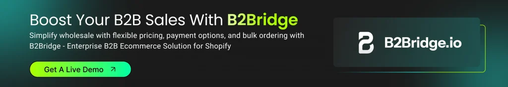 get a live demo with b2bridge.io