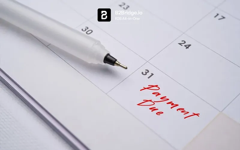 net payment terms b2bridge.io