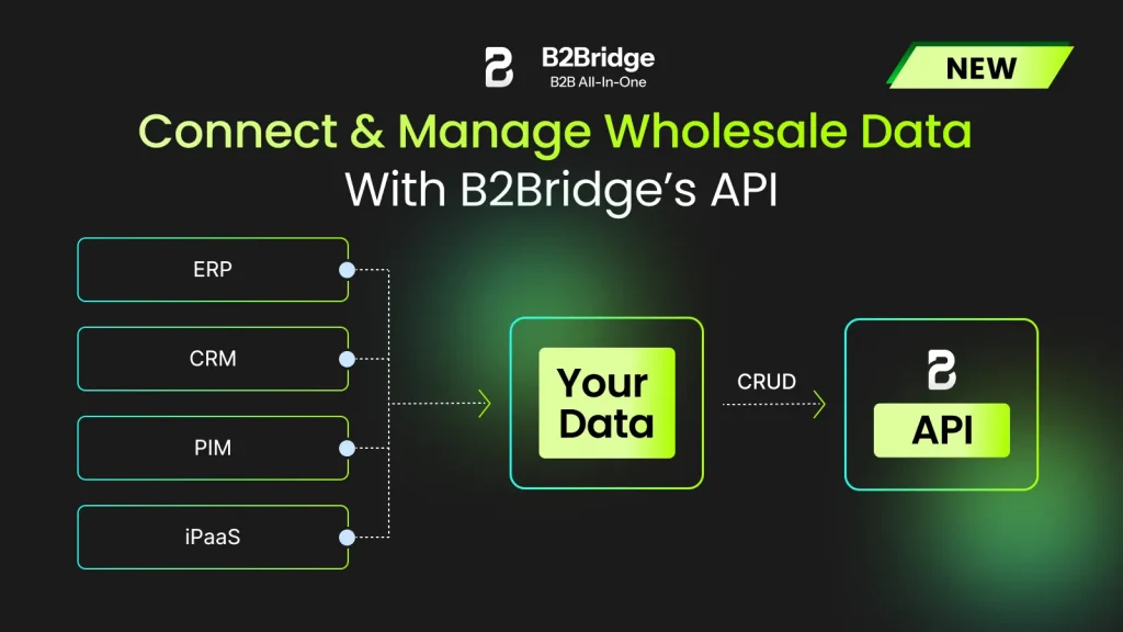 public api feature b2bridge.io