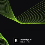 Transform Your Shopify Store Into a B2B Ecommerce Powerhouse with B2Bridge