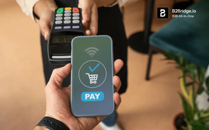 what are b2b payments b2bridge.io