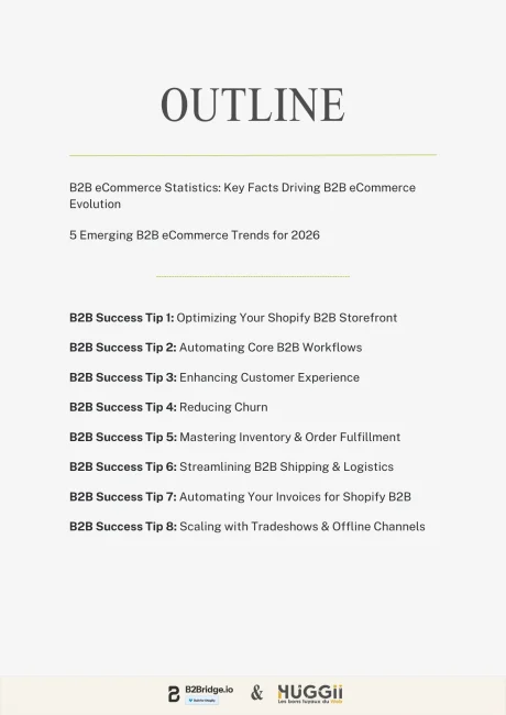 B2Bridge Ebook B2B Ecommerce Success - page 3