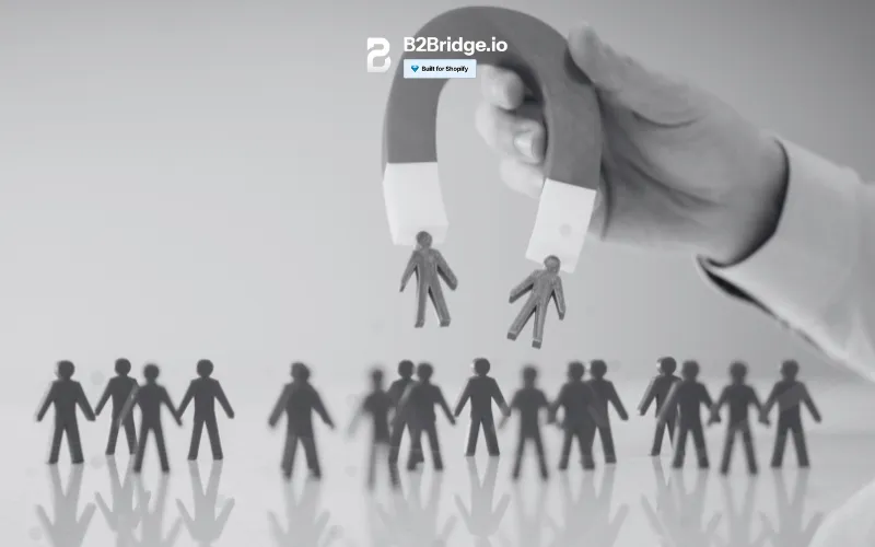 proven B2B customer acquisition strategies to implement by b2bridge.io