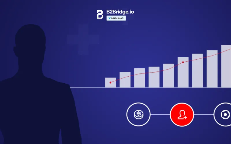 key foundations of a successful B2B customer acquisition strategy by b2bridge.io