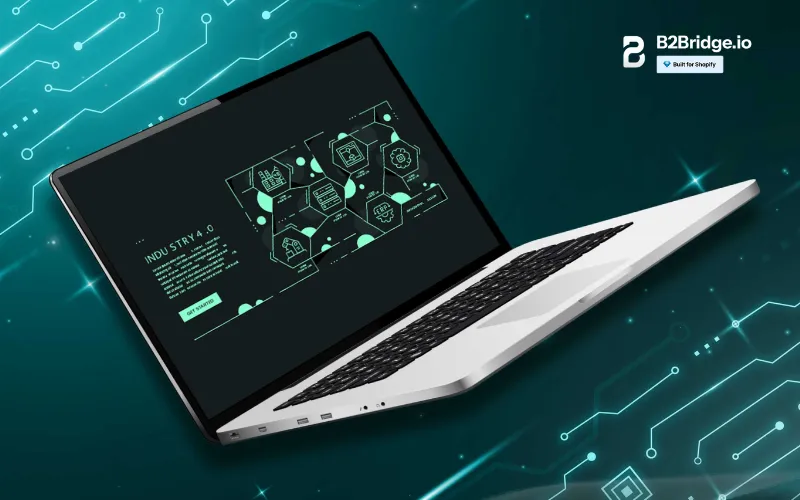 b2b product page by b2bridge.io