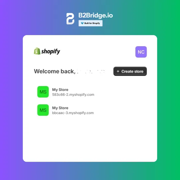 blended store vs dedicated store by b2bridge.io