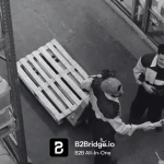 Blended Store Vs Dedicated Store: Which One Should You Choose?