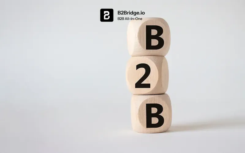 shopify b2b and b2c hybrid by b2bridge.io