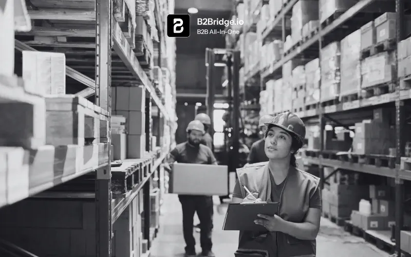 shopify b2b and b2c hybrid by b2bridge.io