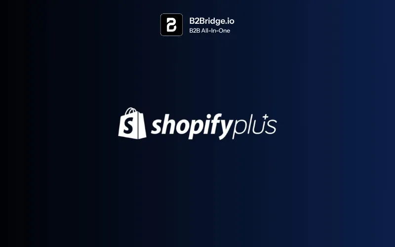 shopify b2b without plus by b2bridge.io