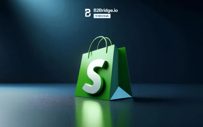 how to set up shipping on shopify by b2bridge.io