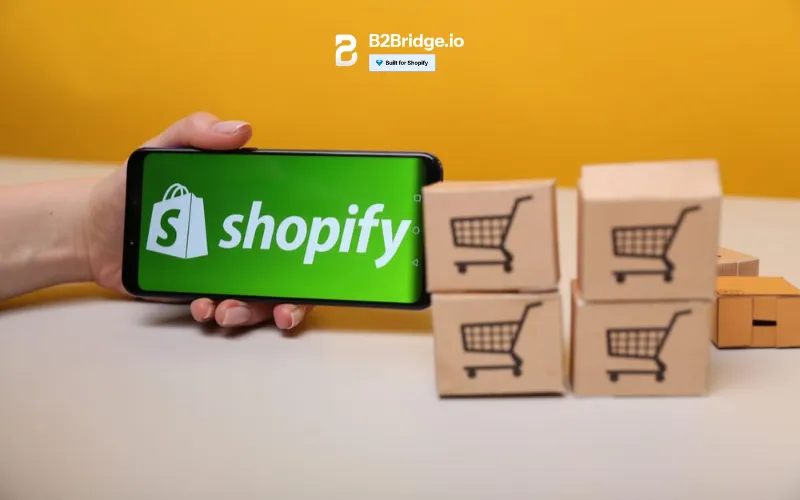 how to set up shipping on shopify by b2bridge.io