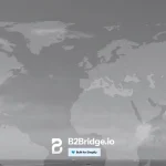 Unlock Global Growth with B2Bridge’s Multi-Currency Feature