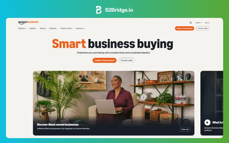 amazon b2b ecommerce website examples reviewed by b2bridge.io