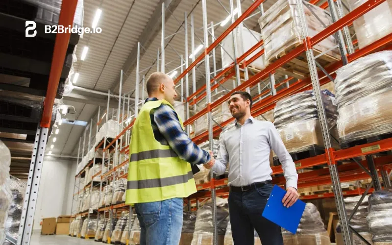 global wholesale distributors reviewed by b2bridge.io