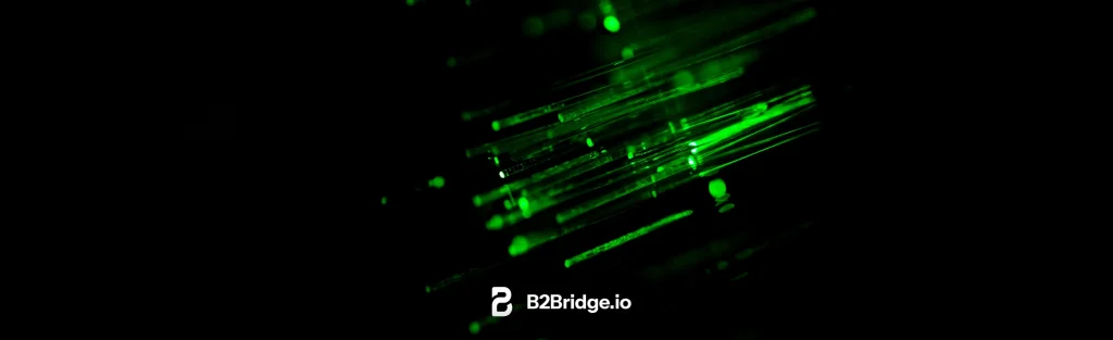 How Much Does a B2B Ecommerce Website Cost? (2026 Complete Guide)