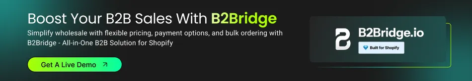 Book a demo with B2bridge