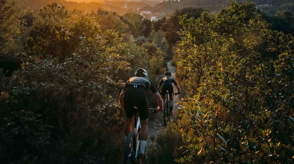CeramicSpeed for dealer networks and field reps