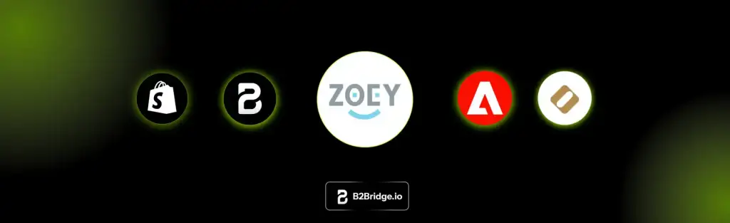 Best Zoey Alternatives for B2B and Wholesale Brands