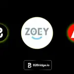 Best Zoey Alternatives for B2B and Wholesale Brands