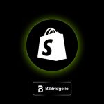 Shopify B2B Pricing: Models, Setup, and How to Scale